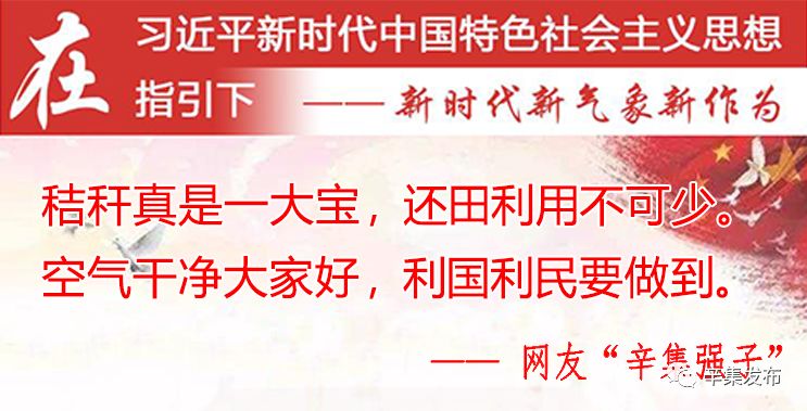 新澳门一码一肖一特一中准选今晚，详细解答、时代解答解释落实